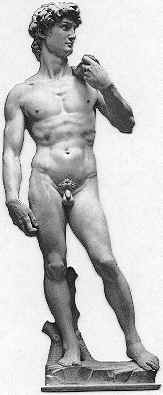 David.jpg (7 KB)