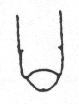 Old Testament  Adult Penis.gif (36946 bytes)