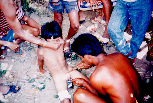 Tuli2.jpg (30 KB)