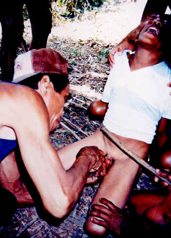 Tuli3.jpg (28 KB)